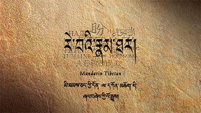 Text in Tibetan and English script on a textured brown background.